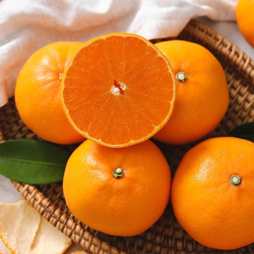 �ڿ����� ���� ���絵 õ���� 30������ 4.5kg