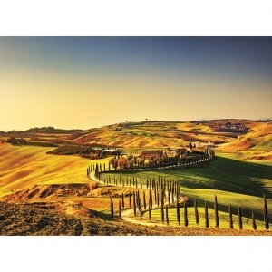 풍경 직소퍼즐 투스카니 점토길 500피스 PK5-3518
