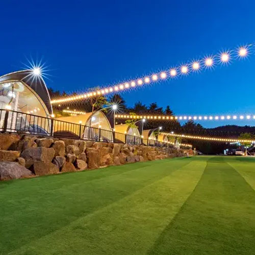 ����õ ����۷��� (���)