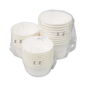 아이존 일회용 종이 밥그릇 국그릇 10P-J/캠핑용/등산/낚시/분식용기/일회용기/무지/야유회/나들이