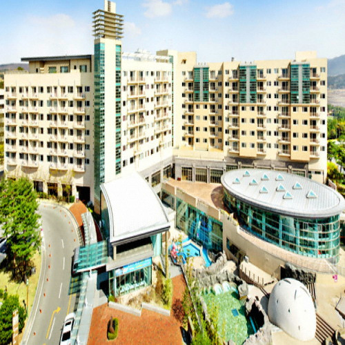 ��ȭ����Ʈ ��ȭ����Ʈ ���� ���� ����