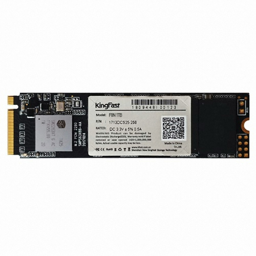 킹패스트 F8N M.2 NVMe (1TB)_이미지