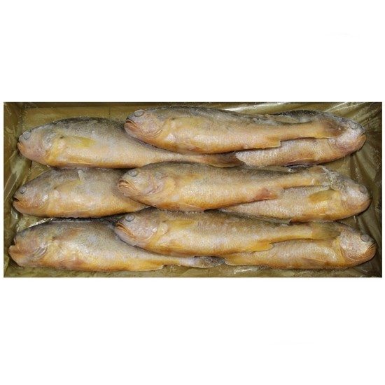 해물총각 부세조기 9개(마리) 3.4kg (1개)_이미지