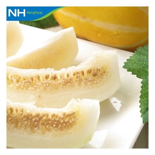 성주참외원예농협 성주참외 가정용 5~10과 2kg (1개)_이미지