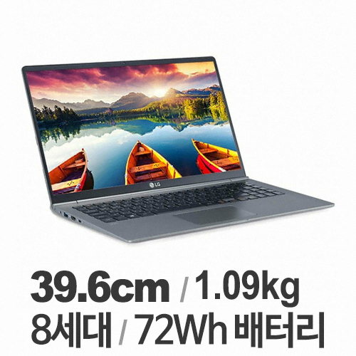 LG전자 2019 그램 15ZD990-VX5BK (SSD 256GB)