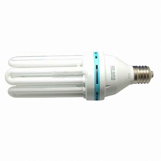 우리조명 장수램프 EL 삼파장 형광등 주광색 100W (1개)_이미지