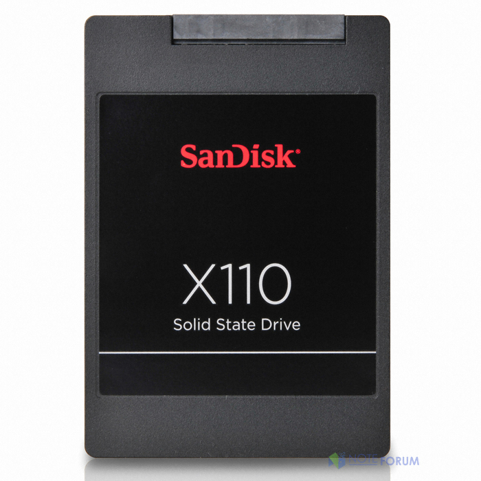 Sandisk x110 �߰�