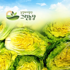 그린농장 괴산 절임배추 20kg