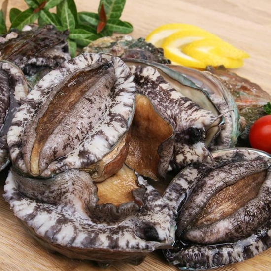 바다소리 완도 활전복 9~10개(마리) 1kg (1개)_이미지