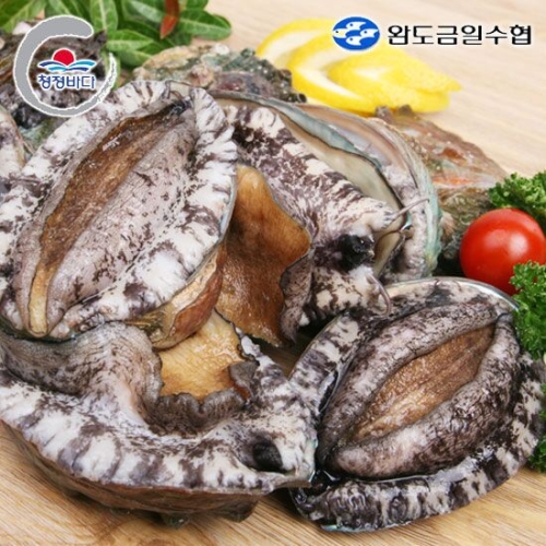 청정바다 참전복 중 1kg 11~13미