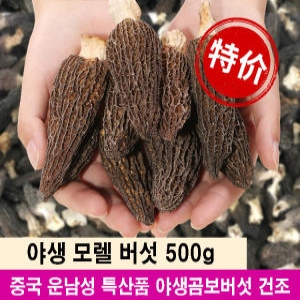 모렐 버섯 500g 중국 운남성 야생 곰보버섯 건조_이미지
