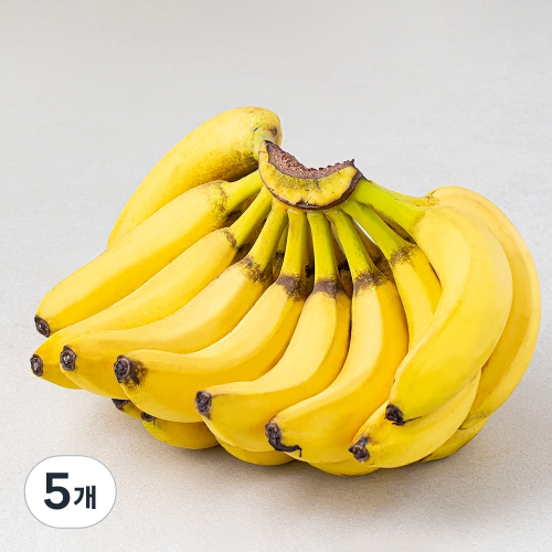 델몬트 필리핀산 바나나 내외 (2kg,5개)_이미지