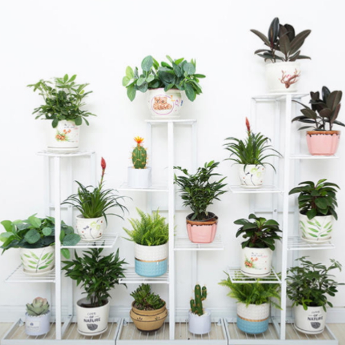 ��ǰ �� �̹���