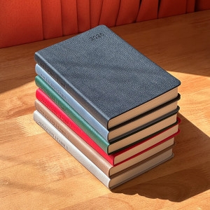 ����Ŭ���÷��� 2026 ĳ�־� ���̾ 1D1P 25�� LOGROG