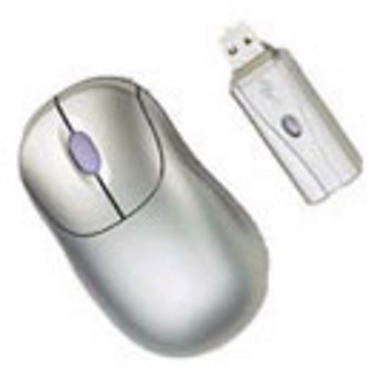 Ÿ�Ž� PAUM006 ���� Optical