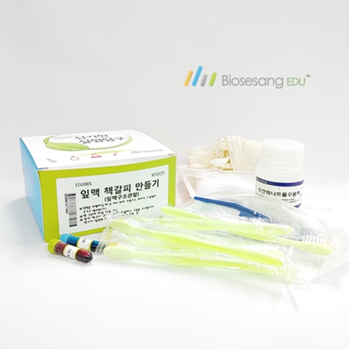 티처스 과학실험 키트 ED2001 잎맥책갈피만들기 5인 KIT_이미지