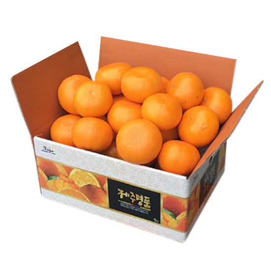 한라산농장 천혜향 대과 15~20개(과) 세트 5kg (1개)_이미지