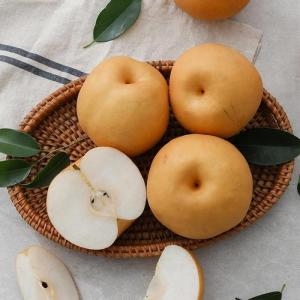 자연맛남 나주배 가정용 9과내외 5kg (1개)_이미지