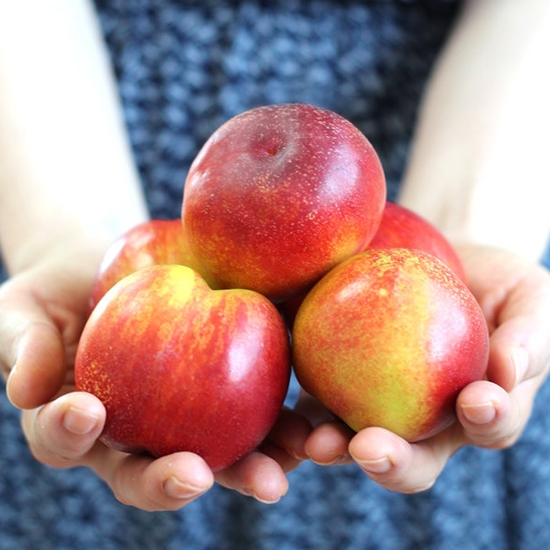 농부마음 새콤달콤한 천도복숭아 대과 31~40개(과) 5kg (1개)_이미지