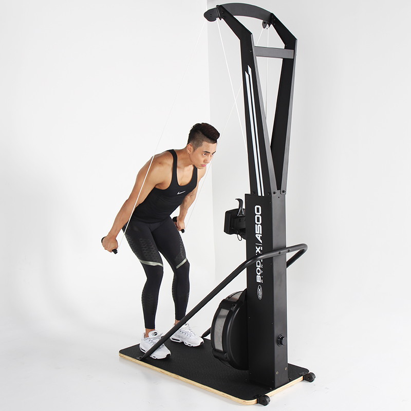 바디엑스 스키 트레이너 A500_이미지