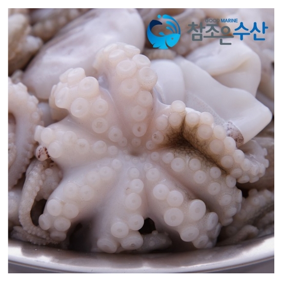 참조은수산 서해 쭈꾸미 1kg (1개)_이미지