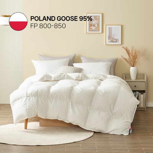 다인패브릭 80수 폴란드 구스 95% 겨울용 이불솜 (1200g, 킹 K)_이미지