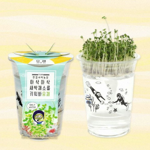 Ʒ�򼼻� �����Ż��ϳ��� ��äŰ���