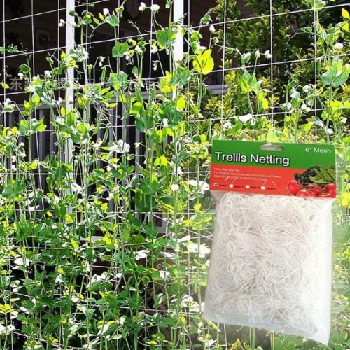 식물 격자 그물