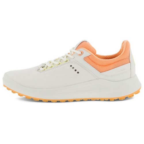 에코 코어 100403-60261