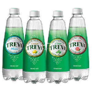 플레인 + 레몬 + 라임 + 자몽 500ml