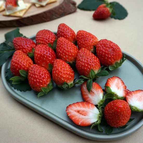 사부자 딸기 24개(과) 800g내외 (1개)