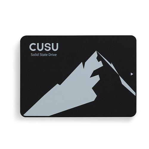 TWSC CUSU C300 (2TB)