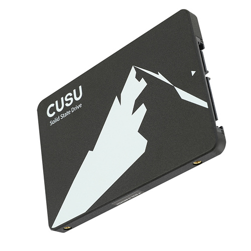 TWSC CUSU C300 (2TB)_이미지