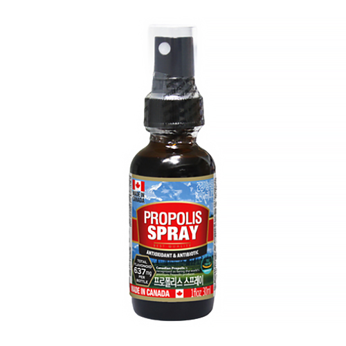 통라이프 프로폴리스 스프레이 30ml (6개)