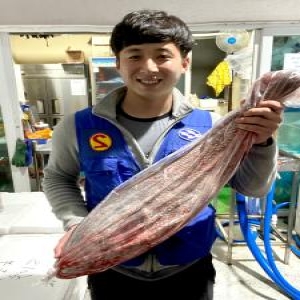 임자도 지도 자연산 활 민어 회 1접시 2인분에서 3인분