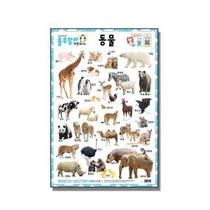 새샘 룰루랄라 사운드 벽보 동물_이미지