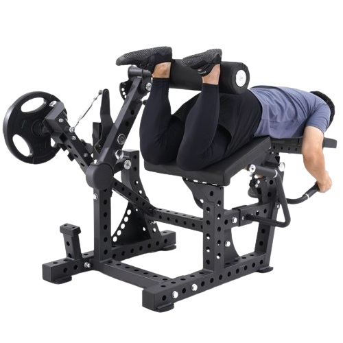 이고진 클럽용 멀티 레그컬 레그익스텐션 K184_이미지