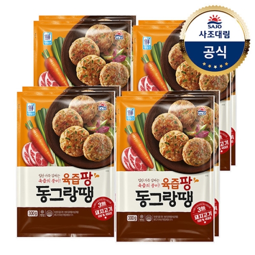 사조대림 대림선 육즙팡 동그랑땡 300g (8개)_이미지