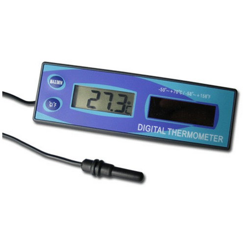 ���̿µ� ����� �µ��� id 440