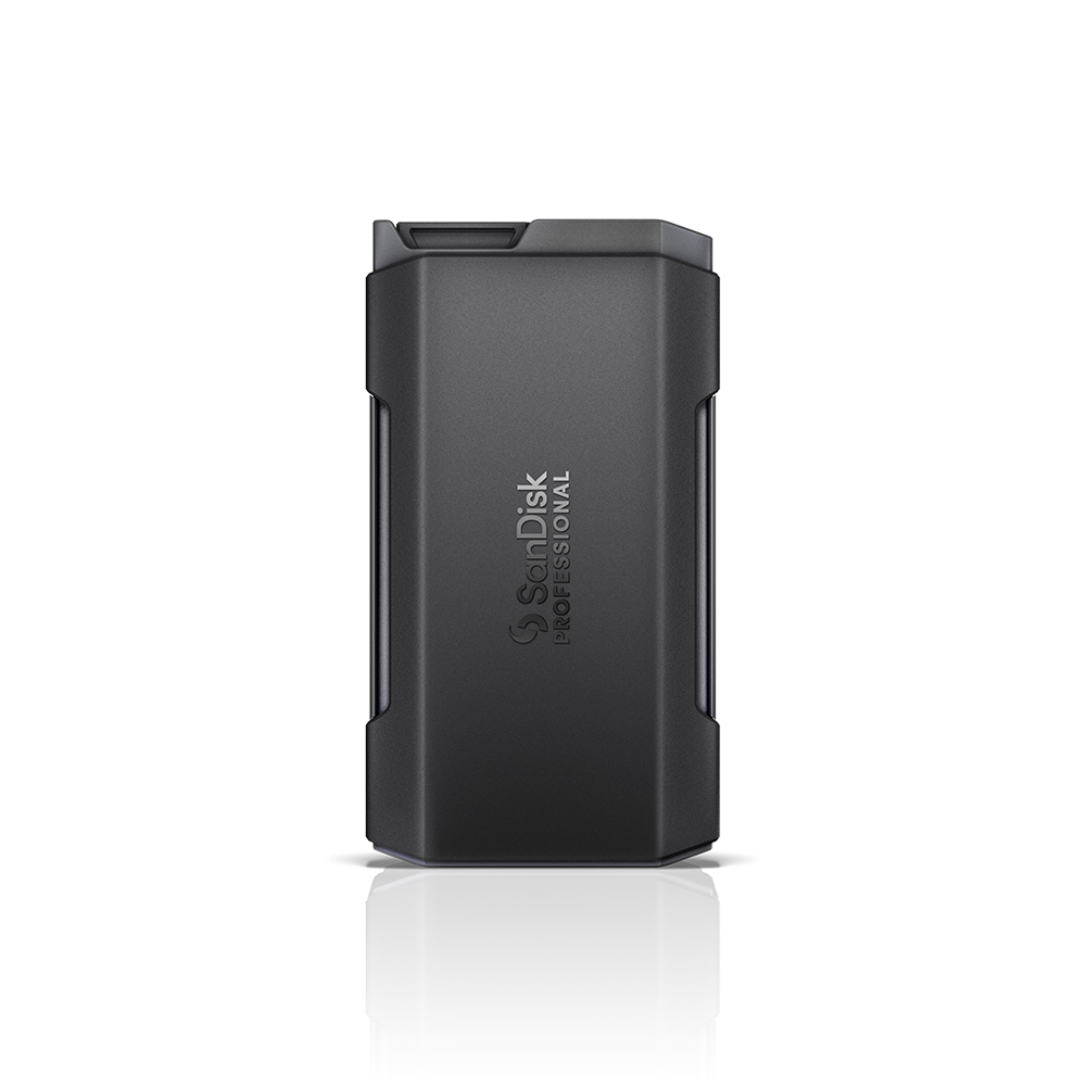 Sandisk Professional PRO-BLADE TRANSPORT 해외구매 (SSD미포함)