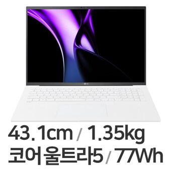 LG전자 2024 <b>그램</b><b>17</b> <b>17</b>Z90S-GAOWK