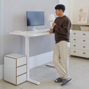 카멜마운트 핏쳐 프리미엄 보쉬모터 B1 2STEP 모션 스탠딩 책상