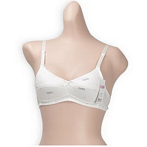 �����̳ʿ��� ��Ű�� 2�ܰ� ����̾� ��� BNR220