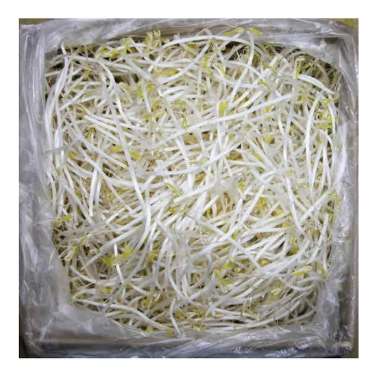 강산애닷컴 숙주나물 3.5kg