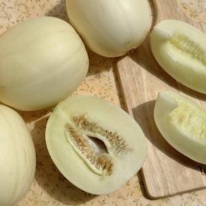 고령 성산 산지직송 설향 메론 6~10과 5kg
