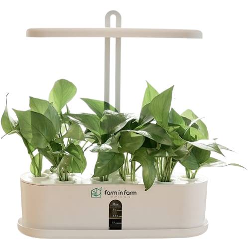 팜인팜 GROWPOT-01이미지입니다. 누르면 해당 게시물로 새창이동합니다.