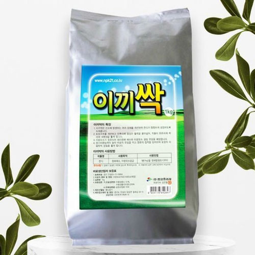 [불명] 중앙프라자 이끼싹 1kg (1개)_이미지