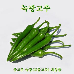 꼬레촌 토종 녹광풋고추 최상품 1kg_이미지