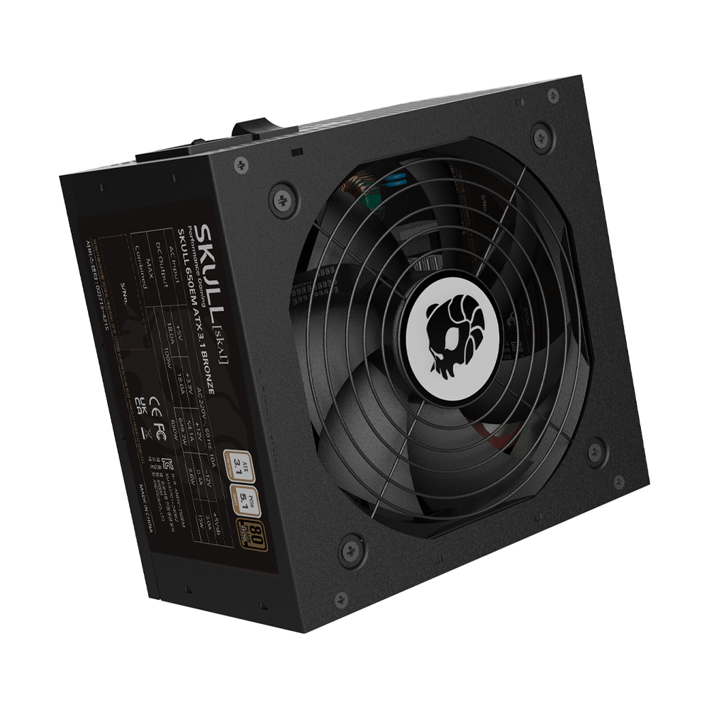 NEWZEN SKULL 650EM 80PLUS����� ATX3.1