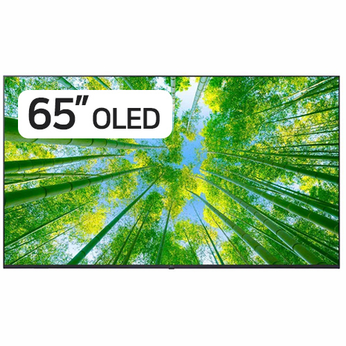 LG전자 올레드 evo OLED65G1KNA (벽걸이)_이미지